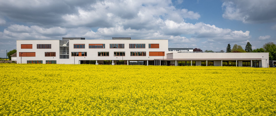 Bouquet - Reconstruction du collège André Maurois | Groupe TREUIL